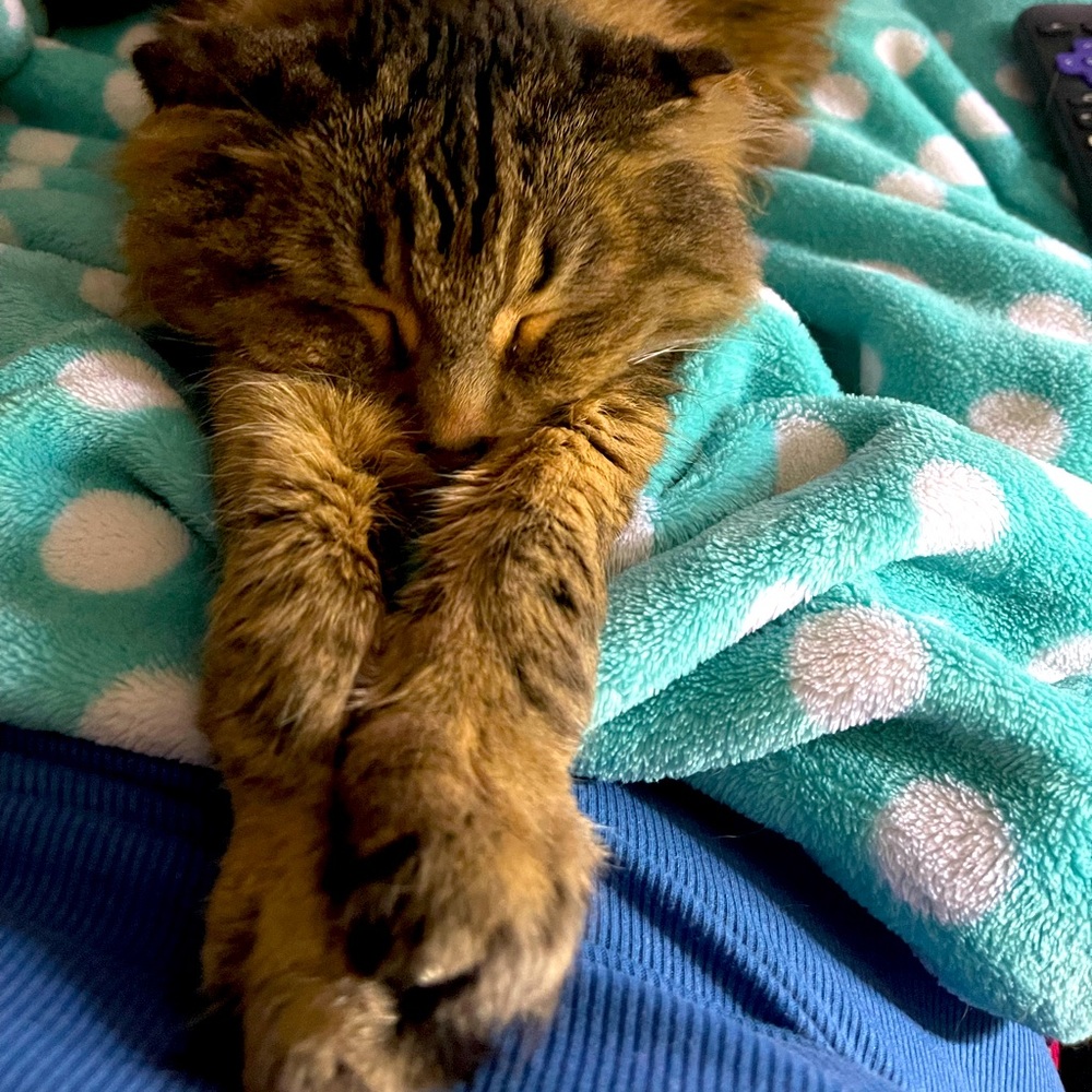 Meet your Posher, Jennifer